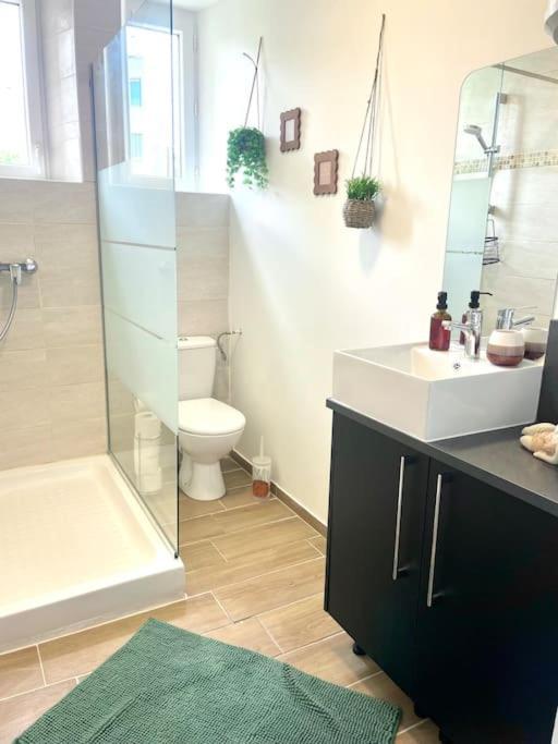 Logement Cosy Et Jardin Saint-Laurent-en-Royans Εξωτερικό φωτογραφία
