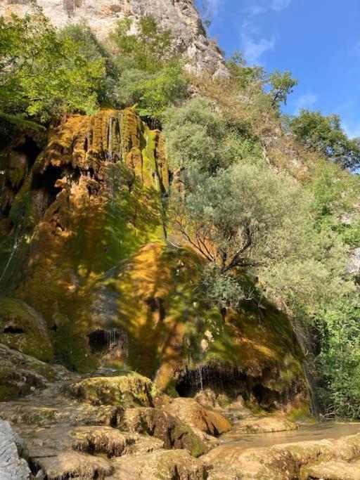 Logement Cosy Et Jardin Saint-Laurent-en-Royans Εξωτερικό φωτογραφία